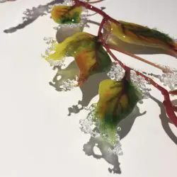 Verne Glass 7