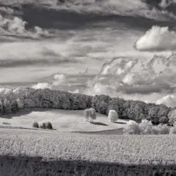 lehet-john-Infrared_hoisington_hartland_cornfield_6182201