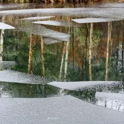 lehet-john-new_ice_rain_tree_reflections
