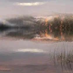 lehet-john-post_pond_yellow_and_mist_ESC4803
