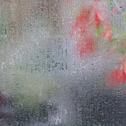 lehet-john-wet_screen_begonias