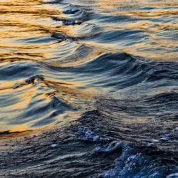 sunset thru the wake