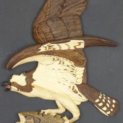 Osprey-w-Bass