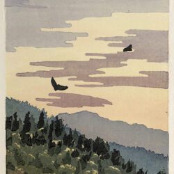 Copy of Graham_Mary_Image1_Hawks-Over-Baldface