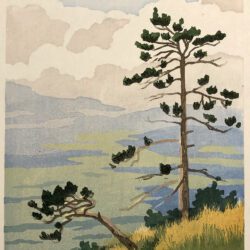 Copy of Graham_Mary_Image3_Jack-Pines