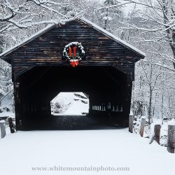 Clemons-Dana-060215.albany.bridge.fb