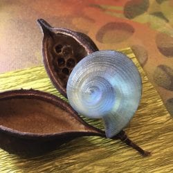 Crosman-Moore-Gail-resin-snail-brooch