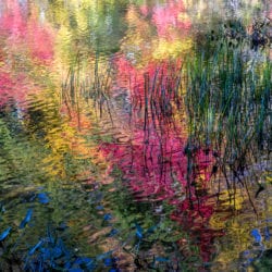 Gehlbach-Stephen-thorndike-pond-fall-I