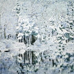 Peck-Bruce-winter-reflections