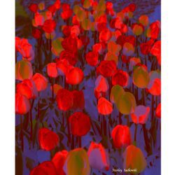 Sadkowski-Stanley-Tulips-Surrealism-24-x-30