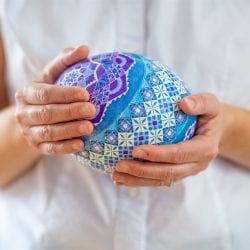 Ostrich Egg